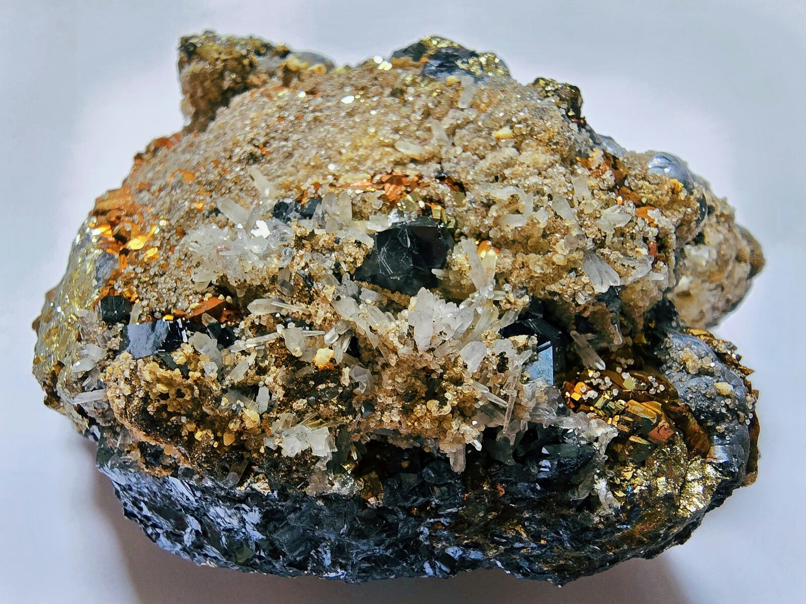 Pyrite cubes scattered across a quartz druse on schist matrix
