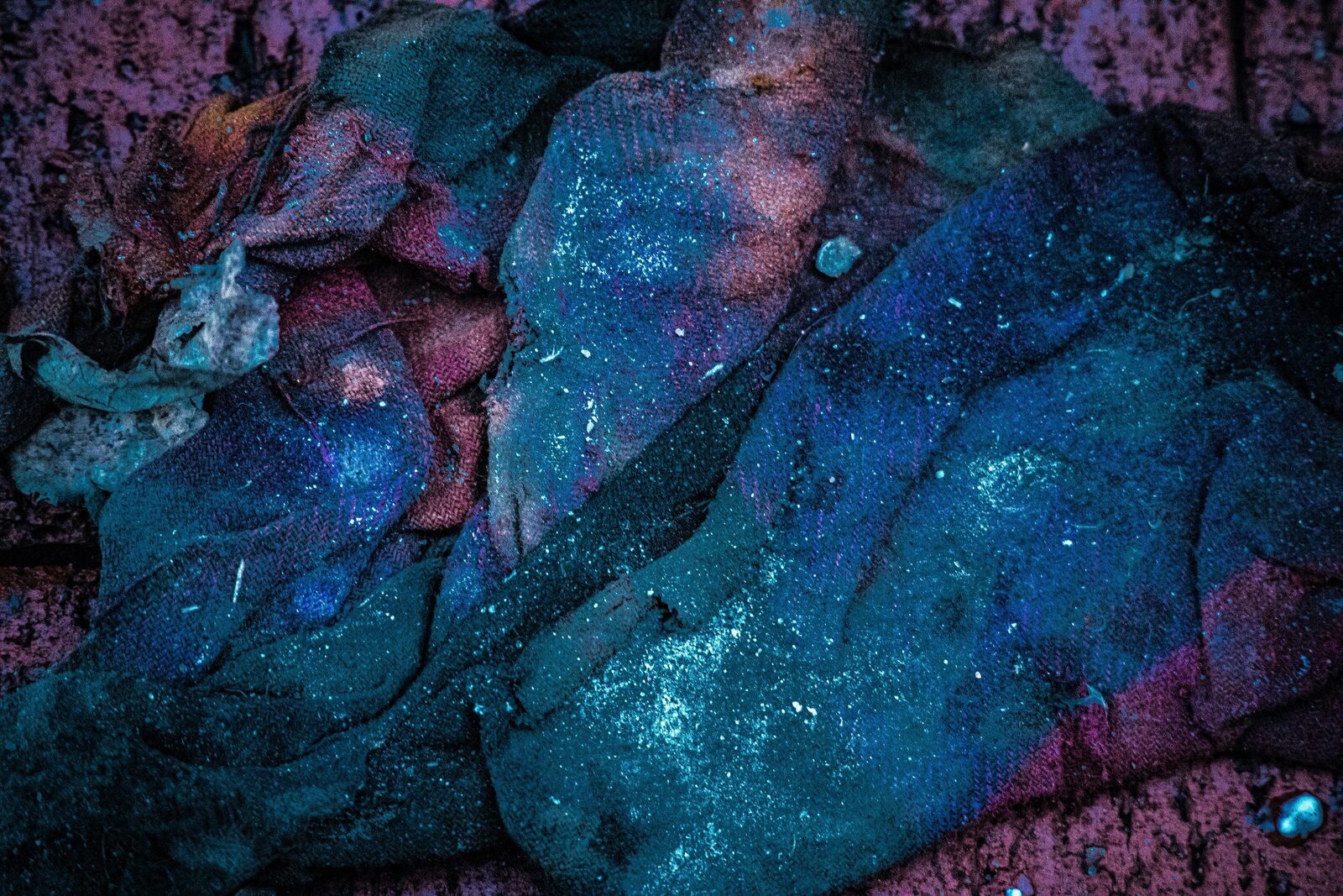 Limestone matrix with embedded coral fossil and accessory pyrite phase