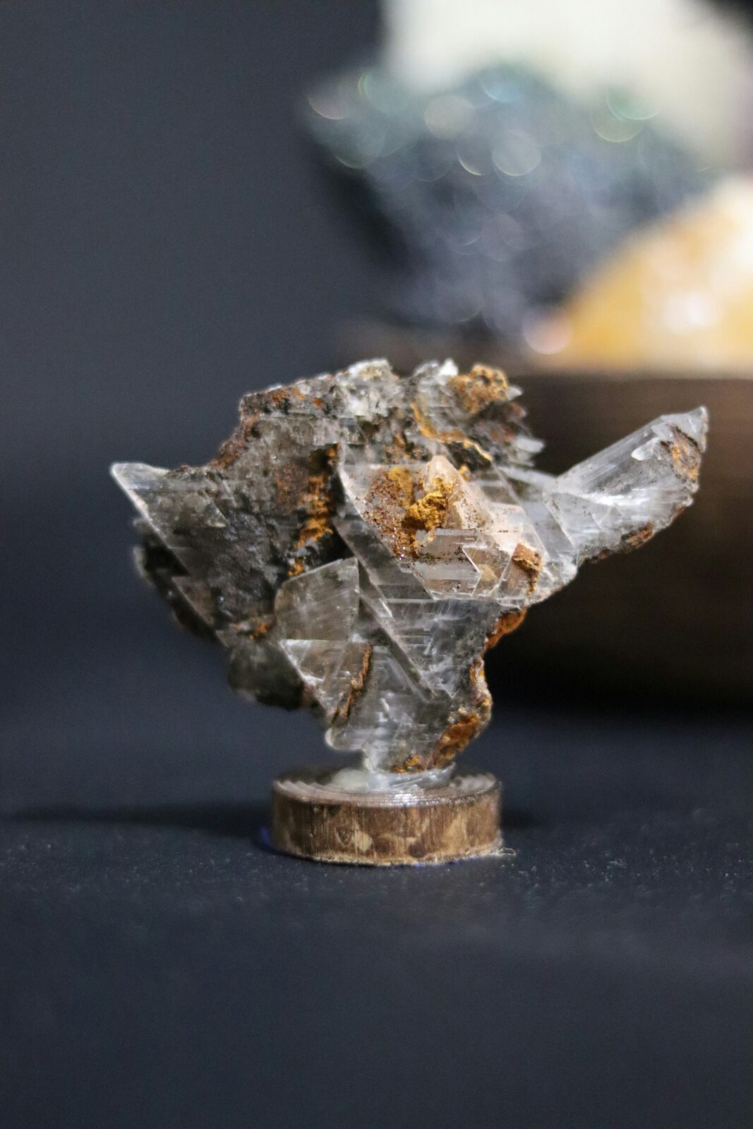 Translucent selenite crystal — bladed gypsum habit on iron-stained matrix