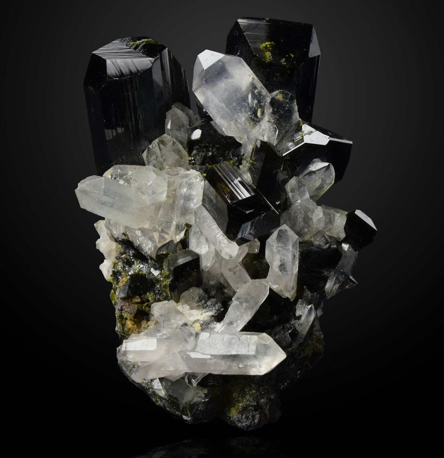 Black schorl tourmaline crystals intergrown with clear quartz prisms